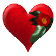 mon coeur